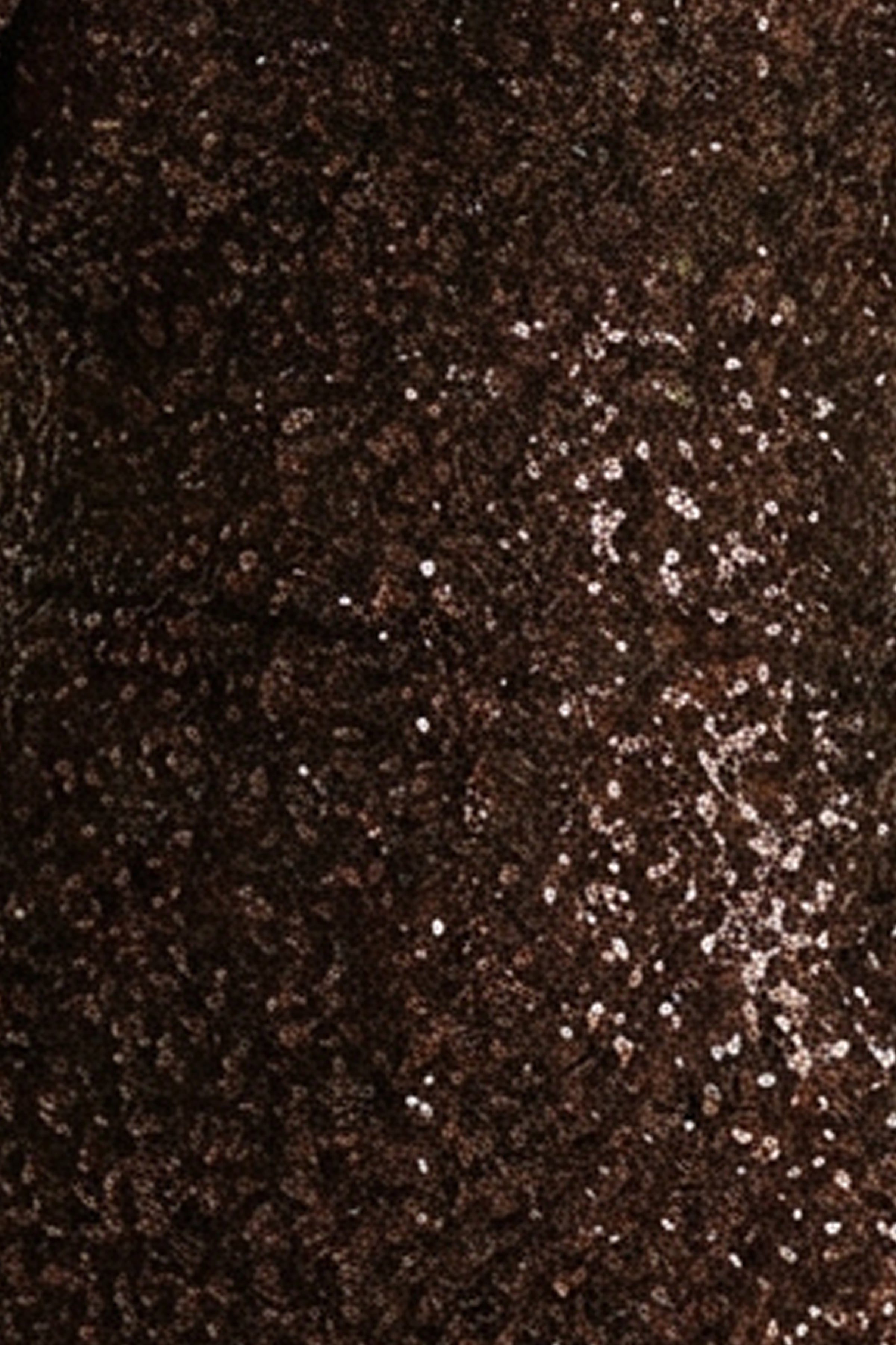 Galaxy | Brown Sequin Turtle-Neck Long-Sleeve Maxi Dress