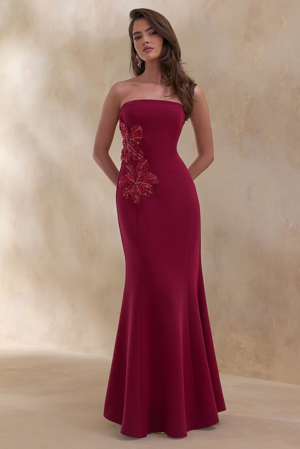 Aylana | Burgundy Bandeau Maxi Dress With Embellished Detail